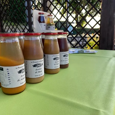 La Palazzina Di Ciagnano Feriegård *