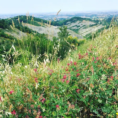 La Palazzina Di Ciagnano Farm stay *