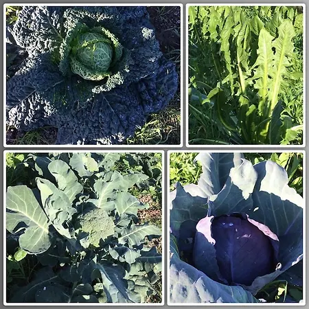 La Palazzina Di Ciagnano * Ozzano dell'Emilia