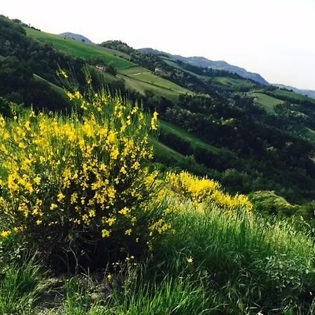 La Palazzina Di Ciagnano Farm stay