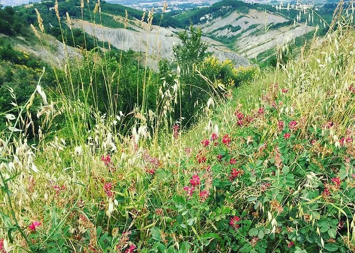 La Palazzina Di Ciagnano Lantgård *
