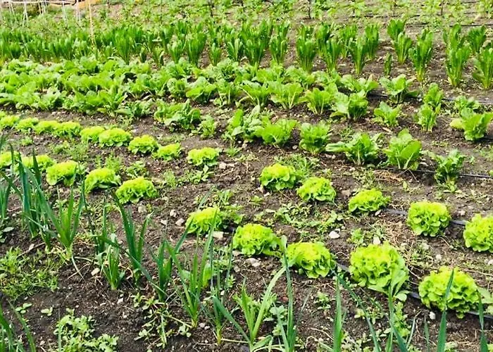 La Palazzina Di Ciagnano Lantgård *