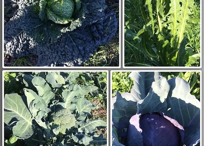 La Palazzina Di Ciagnano * Ozzano dell'Emilia