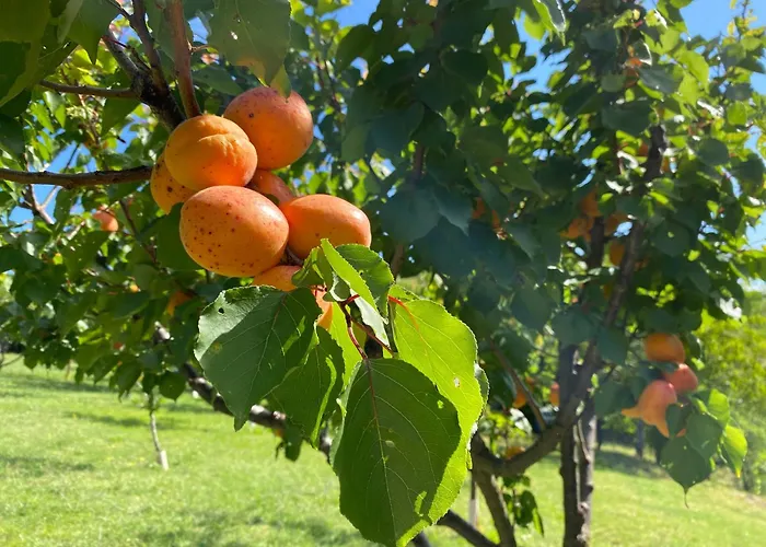 La Palazzina Di Ciagnano Ozzano dell'Emilia
