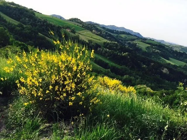 La Palazzina Di Ciagnano Lantgård